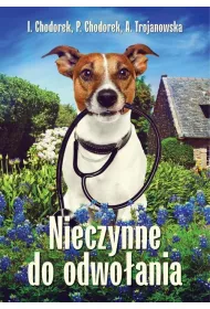 NIECZYNNE DO ODWOLANIA-SZARA