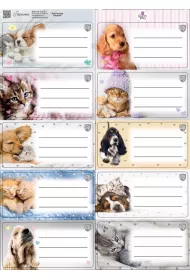 Beniamin Naklejki na zeszyty pasek The Sweet Pets kids