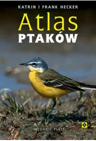 Atlas ptakw