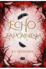 Echo zapomnienia