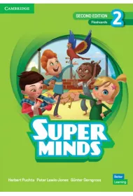 Super Minds 2. Second Edition. Flashcards