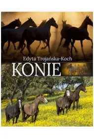 Konie