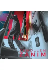 Zanim