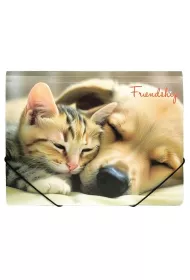 Panta Plast Teczka A4 PP na gumk� z nadrukiem Friendship