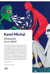 eBook Straszyda na co dzie mobi epub