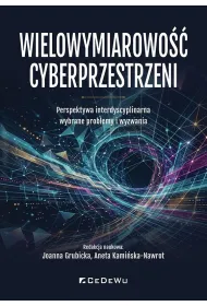 Wielowymiarowo�� cyberprzestrzeni