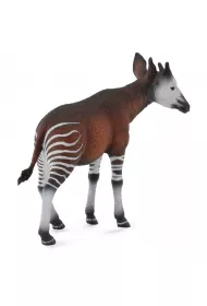 Okapi