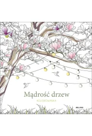 M�dro�� drzew (kolorowanka)