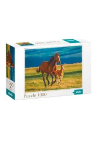 Puzzle 1000 el. Teaching the foal Dodo