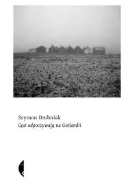 G�si odpoczywaj� na Gotlandii