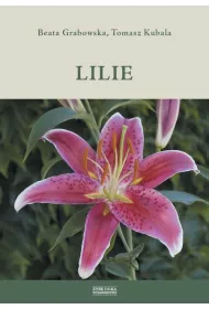 Lilie