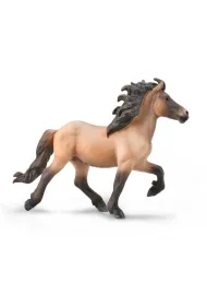 Icelandic Stallion Bay Dun