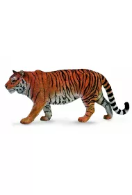 Tygrys syberyjski
