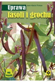 Uprawa fasoli i grochu