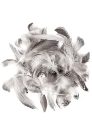 Dalprint Pi�ra kacze 5-12 cm, 5g