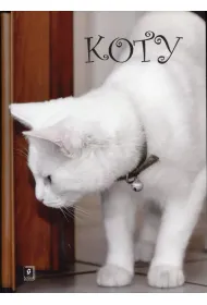 Koty (OT)