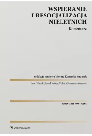 Wspieranie i resocjalizacja nieletnich. Komentarz