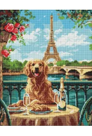 Ideyka Diamentowa mozaika - Retriever w Pary�u 40x50cm