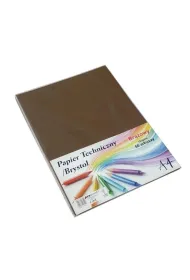 Penword Papier techniczny brystol A4 br�zowy 50 arkuszy