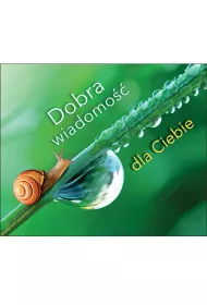 Dobra wiadomo�� dla Ciebie. Pere�ka 288