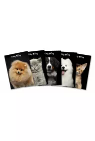 Hamelin Brulion A5 Kitty&Dog kratka 96 kartek