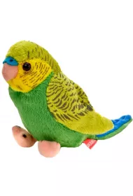 Papuga falista 13cm zielono-niebieska Beppe