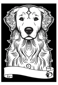 Kolorowanka welwetowa A4 Golden retriever