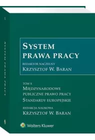 eBook Midzynarodowe publiczne prawo pracy. Standardy europejskie. System prawa pracy. Tom 10 pdf