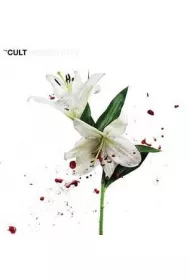 Hidden City (vinyl)