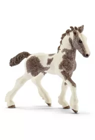 �rebi� rasy Tinker SLH13774