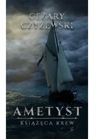 Ametyst. Ksi���ca krew