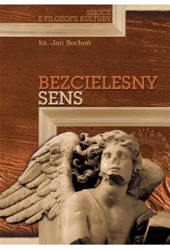 Bezcielesny sens. Szkice z filozofii kultury