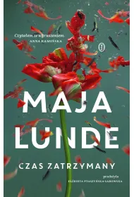 eBook Czas zatrzymany mobi epub
