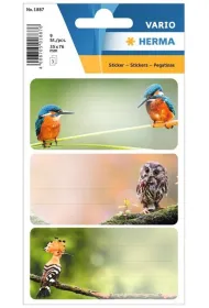 Herma Naklejki szkolne - Ptaki 9 szt.
