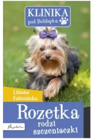 KLINIKA POD BOLILAPKA ROZETKA RODZI SZCZENIAKI OM-PAPILON