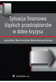 eBook Sytuacja finansowa lskich przedsibiorstw w dobie kryzysu pdf