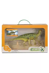 Gift Set - Dinosaurs