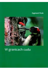 W granicach cudu