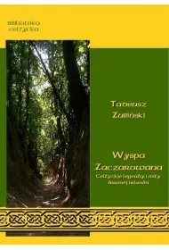eBook Wyspa zaczarowana. Celtyckie podania i mity dawnej Irlandii mobi epub