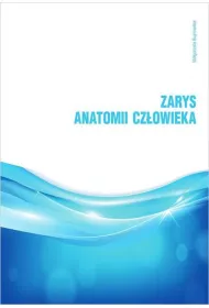 Zarys anatomii cz�owieka