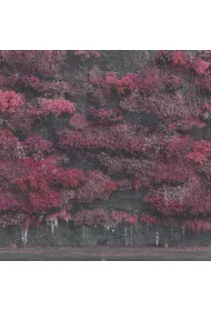 Even In Arcadia (1 CD)