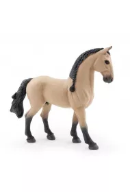 Ko� Lusitano