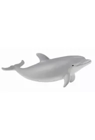 Delfin butlonosy m�ody