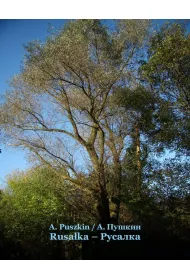 eBook Rusaka, Rusalka mobi epub