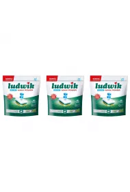 Ludwik Tabletki do zmywarek All in 1 Maxx Power Mint Zestaw 3 x 41 szt.