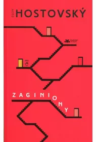 Zaginiony