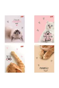 St. Majewski Zeszyt A5 60 kartek linia. Ok�adka laminowana lakier miejscowy UV 70 g/m2. Purrfect Moments