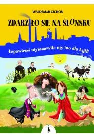Zdarzi�o sie na �lonsku