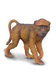 COLLECTA SAMIEC PAWIANA ROZMIAR M BPZ-COLLECTA