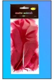 Galeria Hobby Pi�rka mi�kkie bordowe 15 szt.
